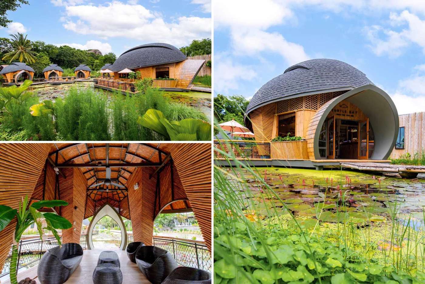 Turtle-Inspired Cabin Designs Are a Feature at This Eco-Lodge in Thailand