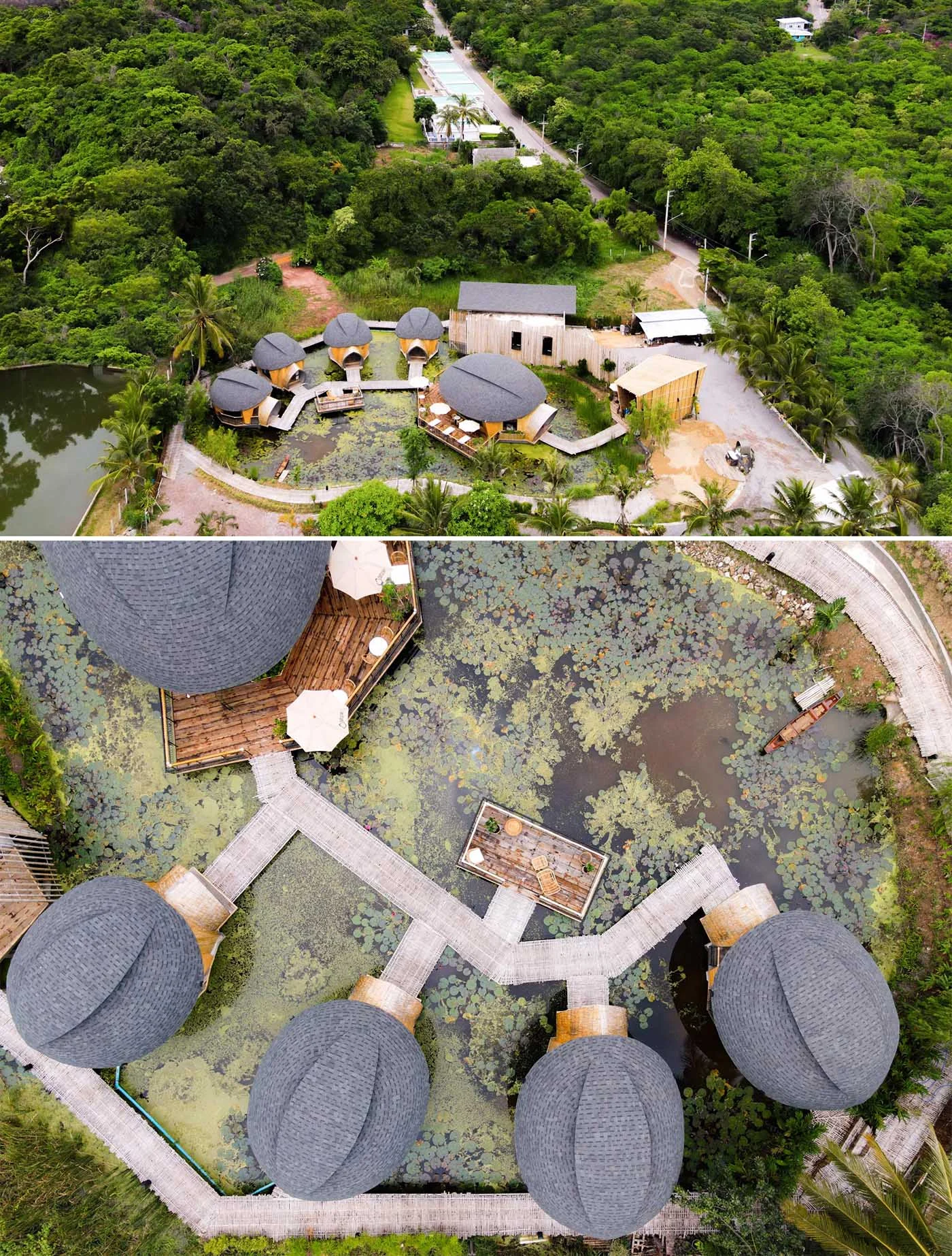 Curved shingle roofs of the eco-lodge cabins inspired by a turtle shell