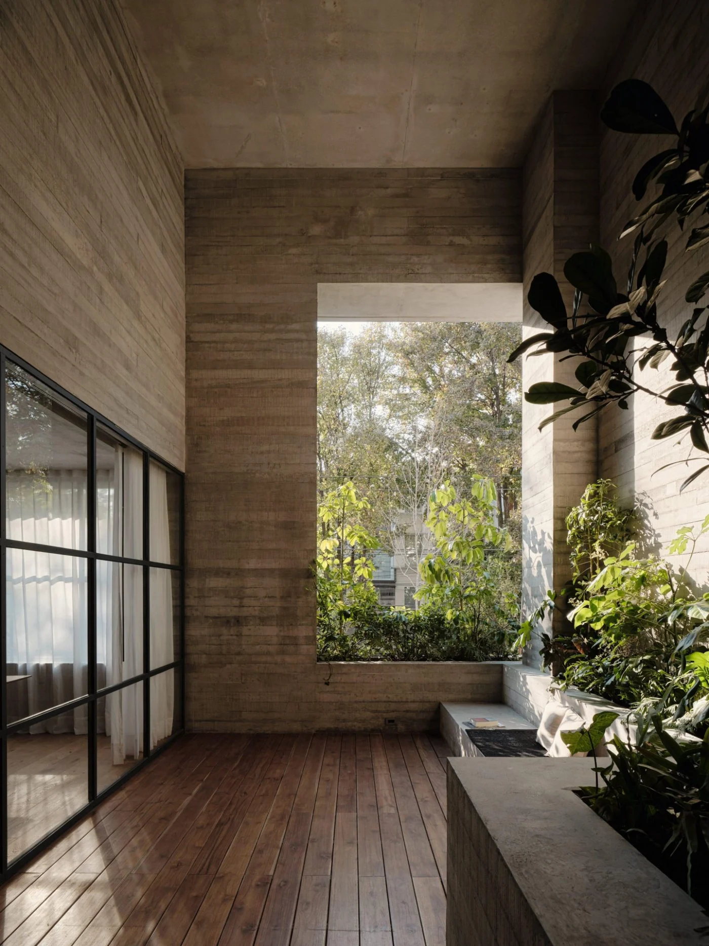 Planted light well inside Tennyson 205 in Mexico City
