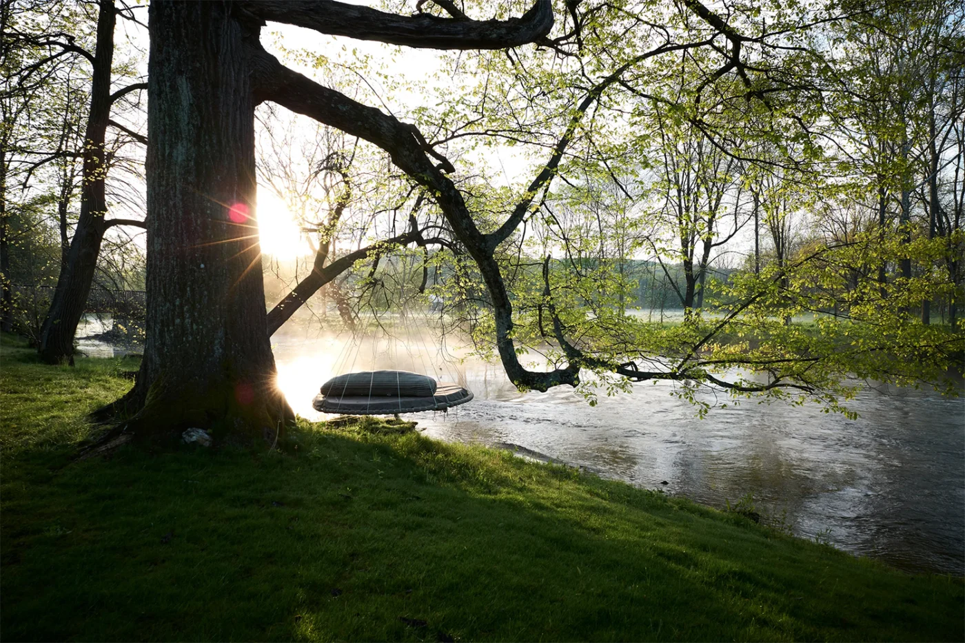 River on the estate seen beneath a large tree