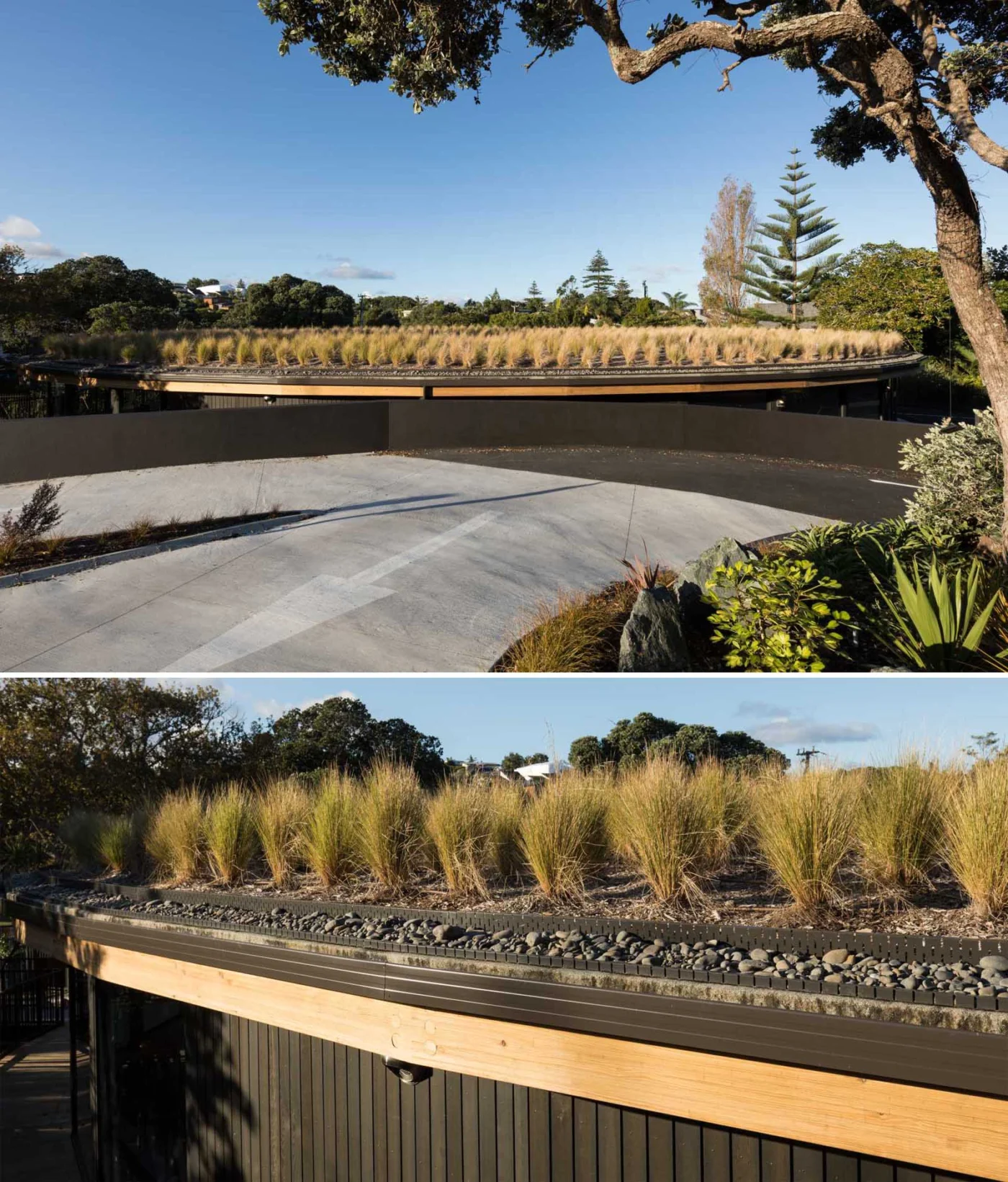 Timber roof canopy and planted roof of the circular children's centre