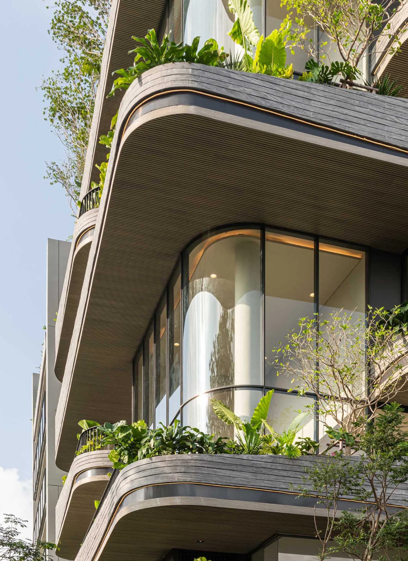 Facade mixing stone veneer planters, aluminium composite and timber ceilings