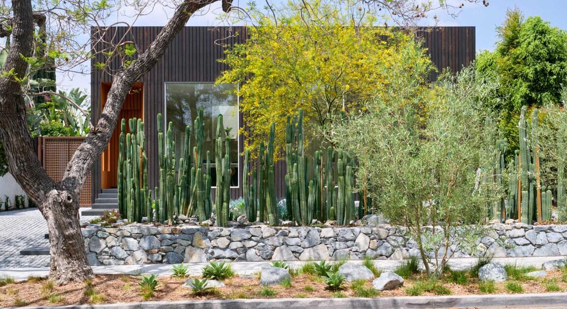 cacti-were-used-to-create-privacy-for-this-home-in-los-angeles