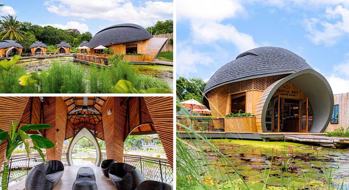 turtle-inspired-cabin-designs-are-a-feature-at-this-eco-lodge-in-thailand