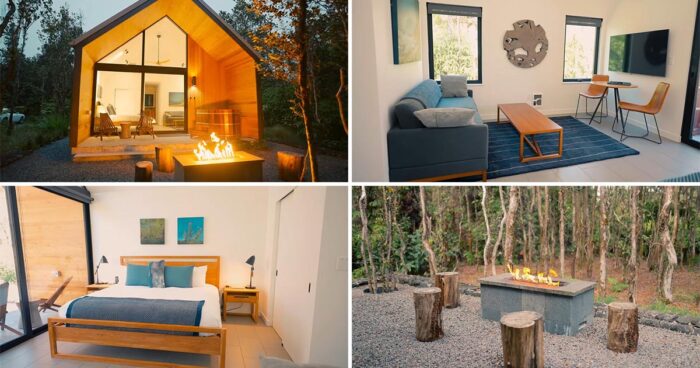 this-modern-tiny-house-surrounded-by-a-forest-in-hawaii-is-a-surprising-find