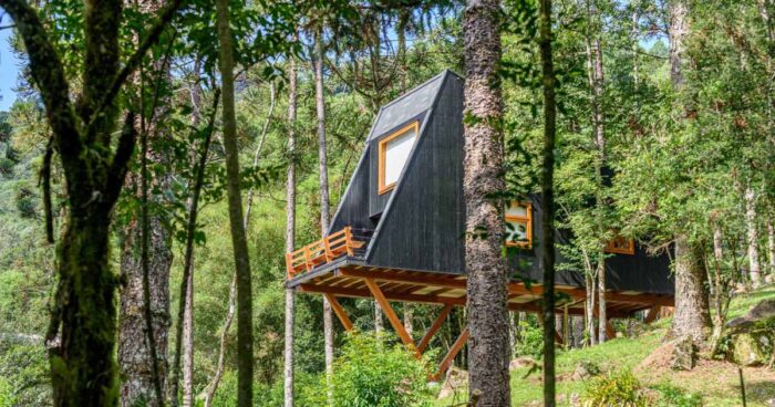 a-tree-house-that-feels-like-it's-floating-inside-the-forest