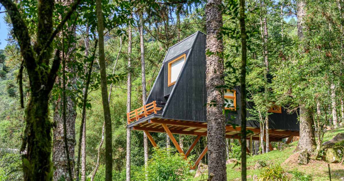 a-tree-house-that-feels-like-it's-floating-inside-the-forest