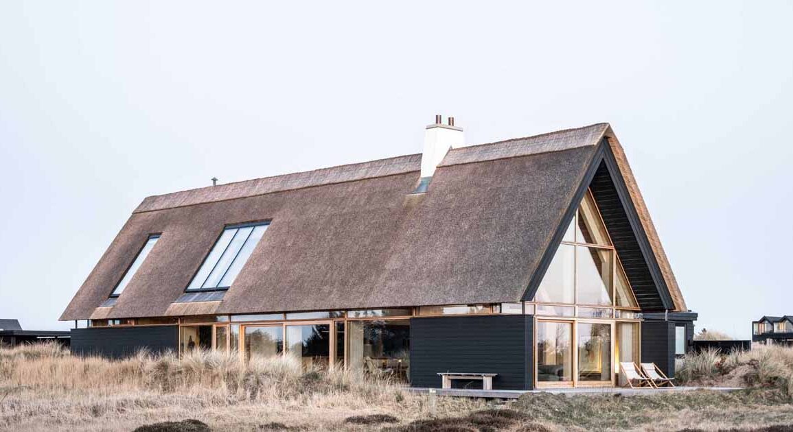 a-thatched-roof-and-charred-wood-siding-were-used-to-create-this-modern-home