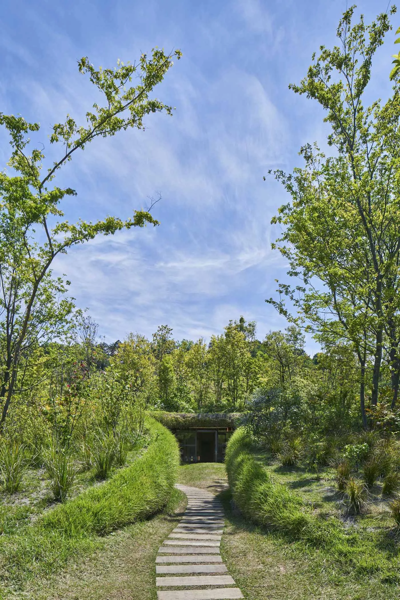 Paved path descending between planted banks to the library