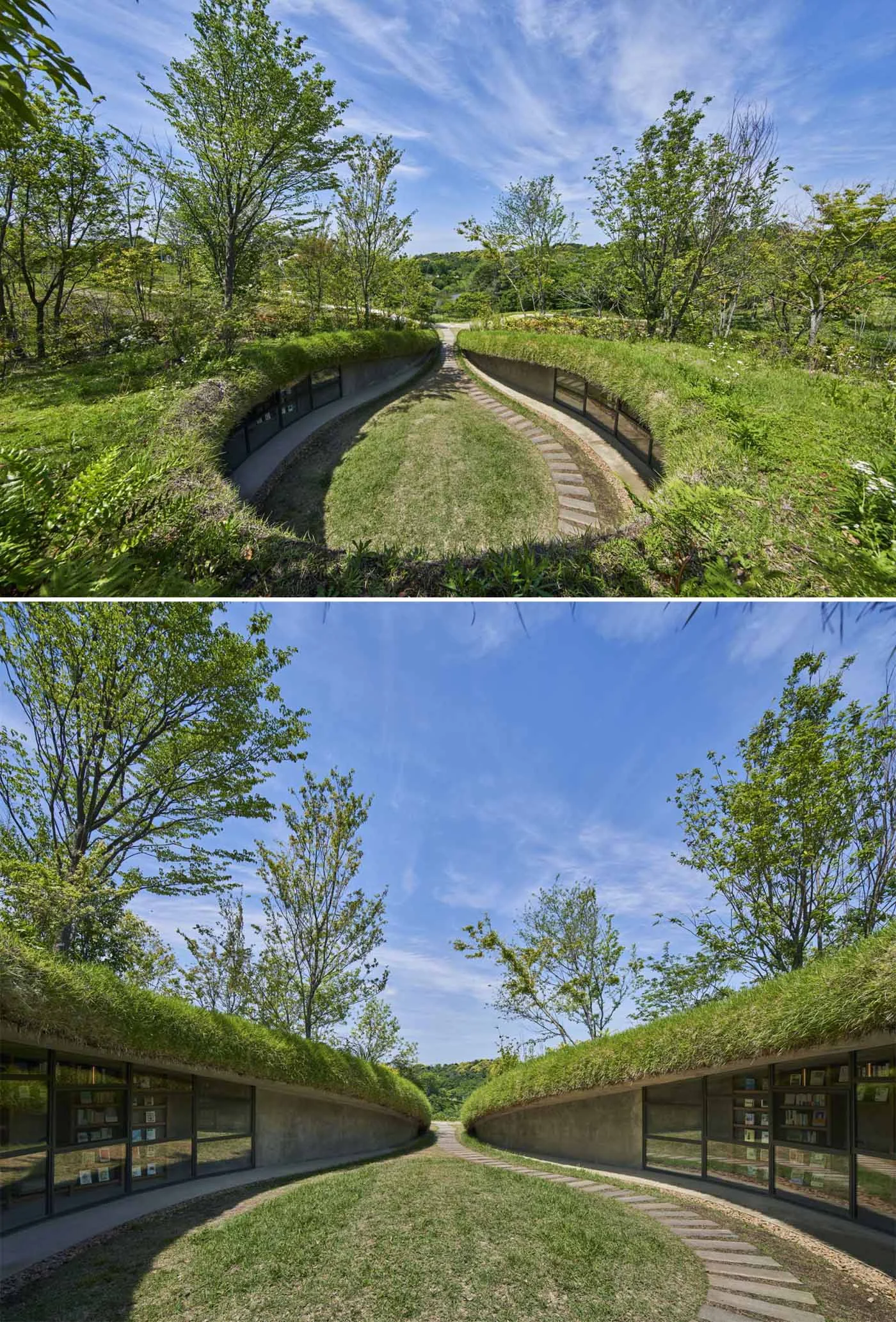 Planted earth roof curving around the sunken cleft
