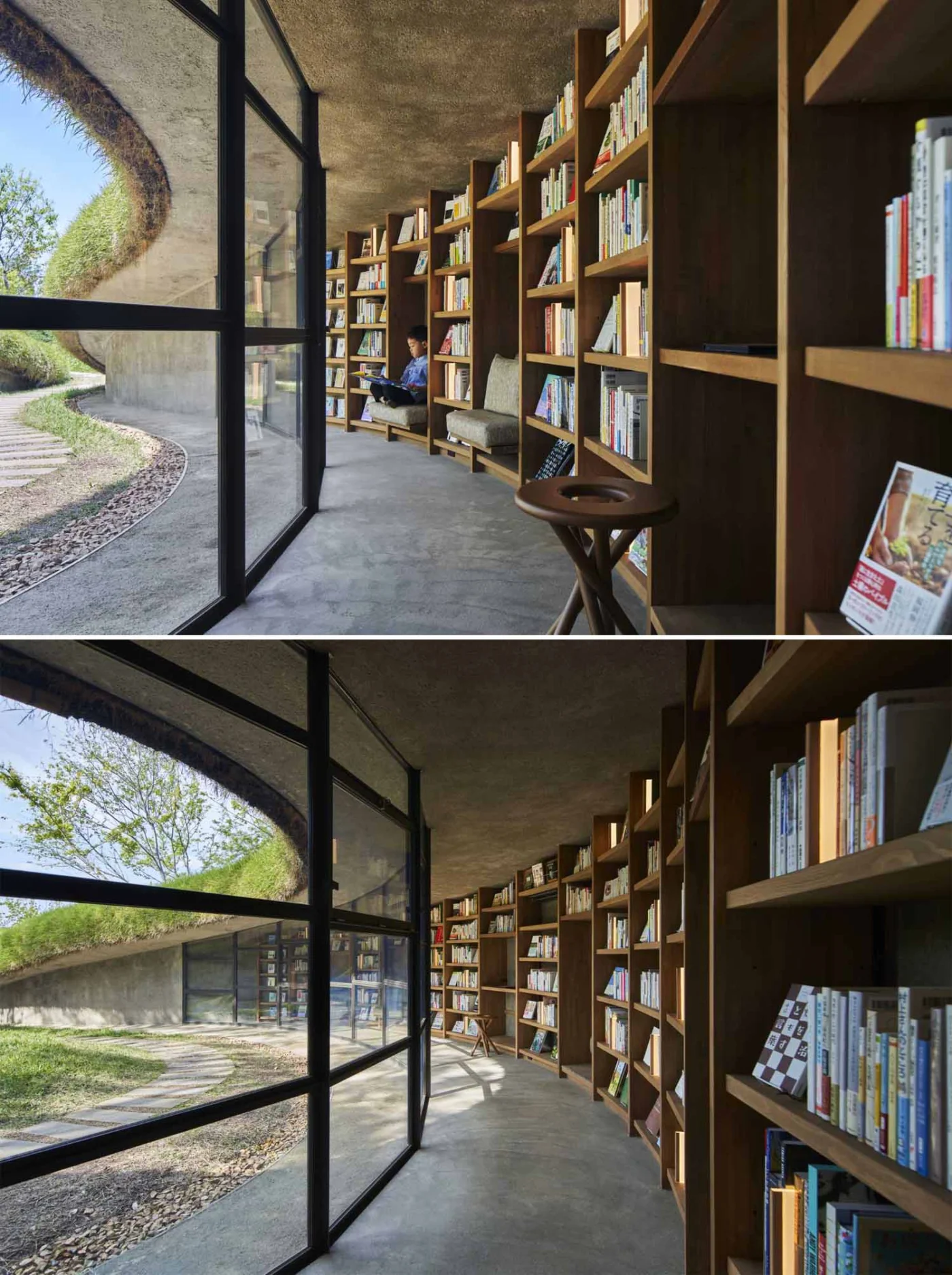 Bookshelves and seating along the curved glass wall