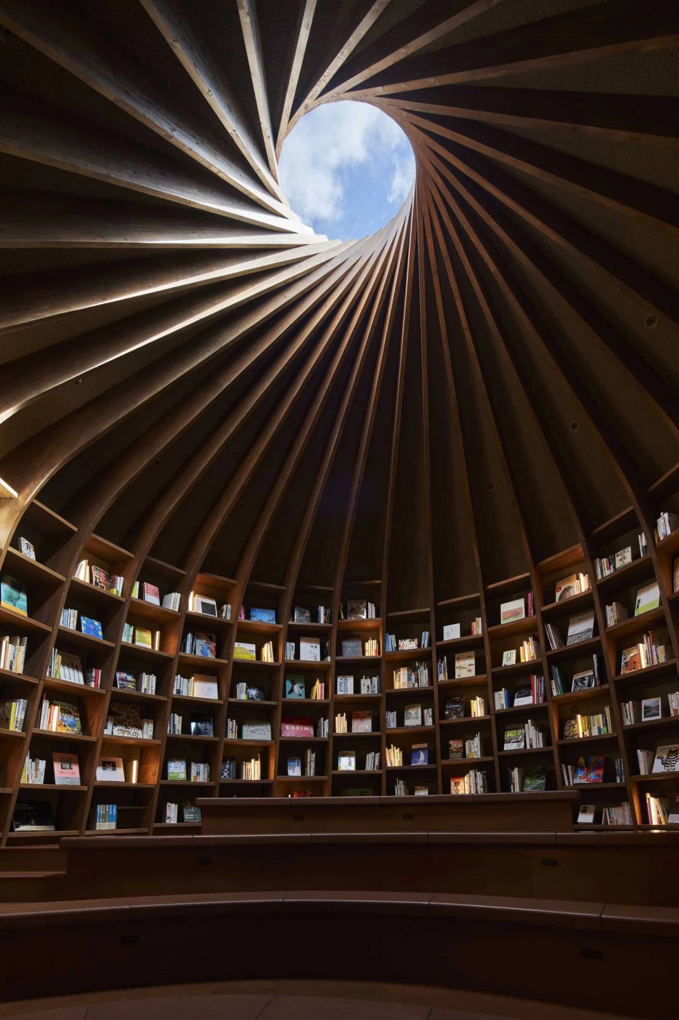 Timber frames of the shelves meeting around the round top light