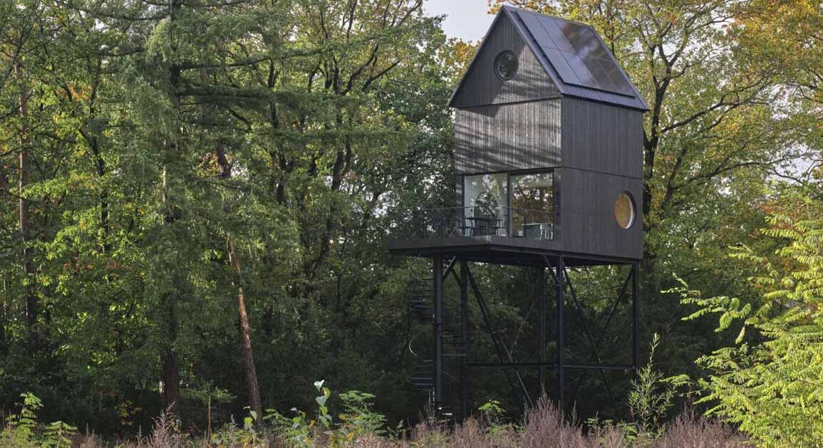 this-elevated-cabin-looks-like-a-birdhouse
