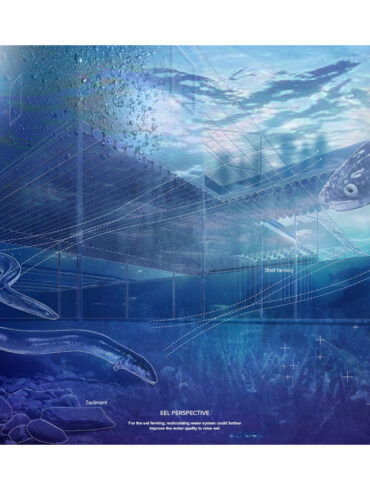 cover image DSA000049 q