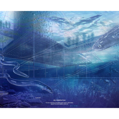 cover image DSA000049 q