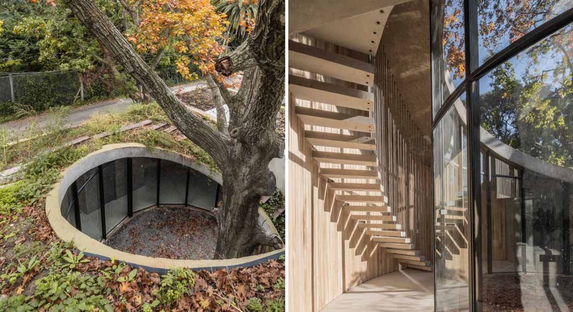 this-house-was-built-around-a-100-year-old-oak-tree