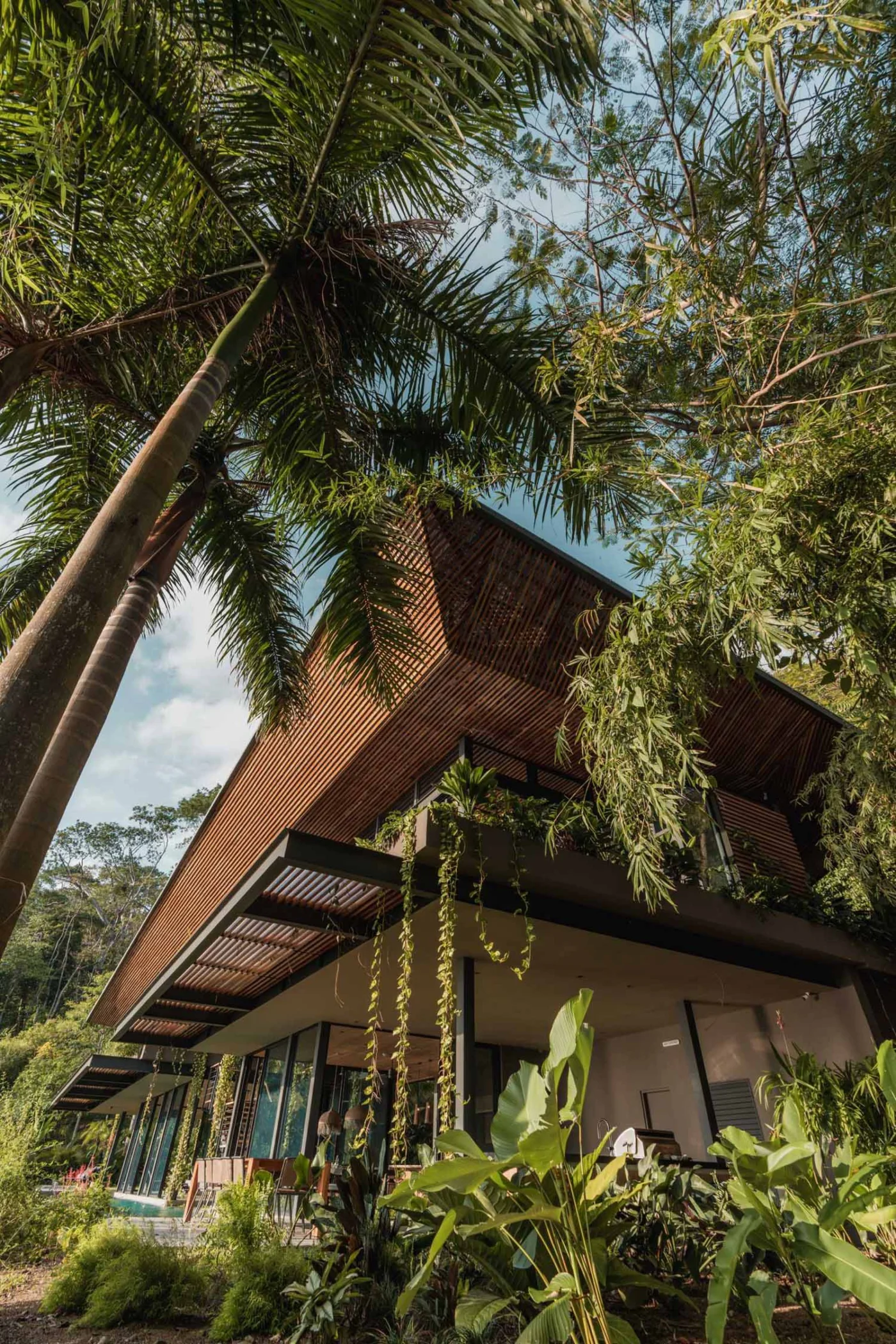 Soft light filtering through perforated roof panels, translucent sheets and teak louvers
