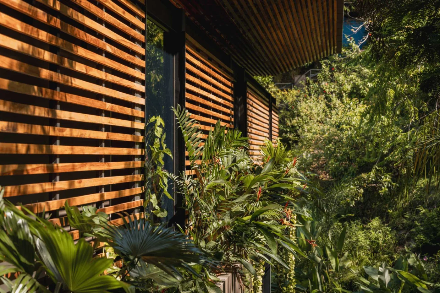 Wood slats on the walls helping the house blend into the jungle