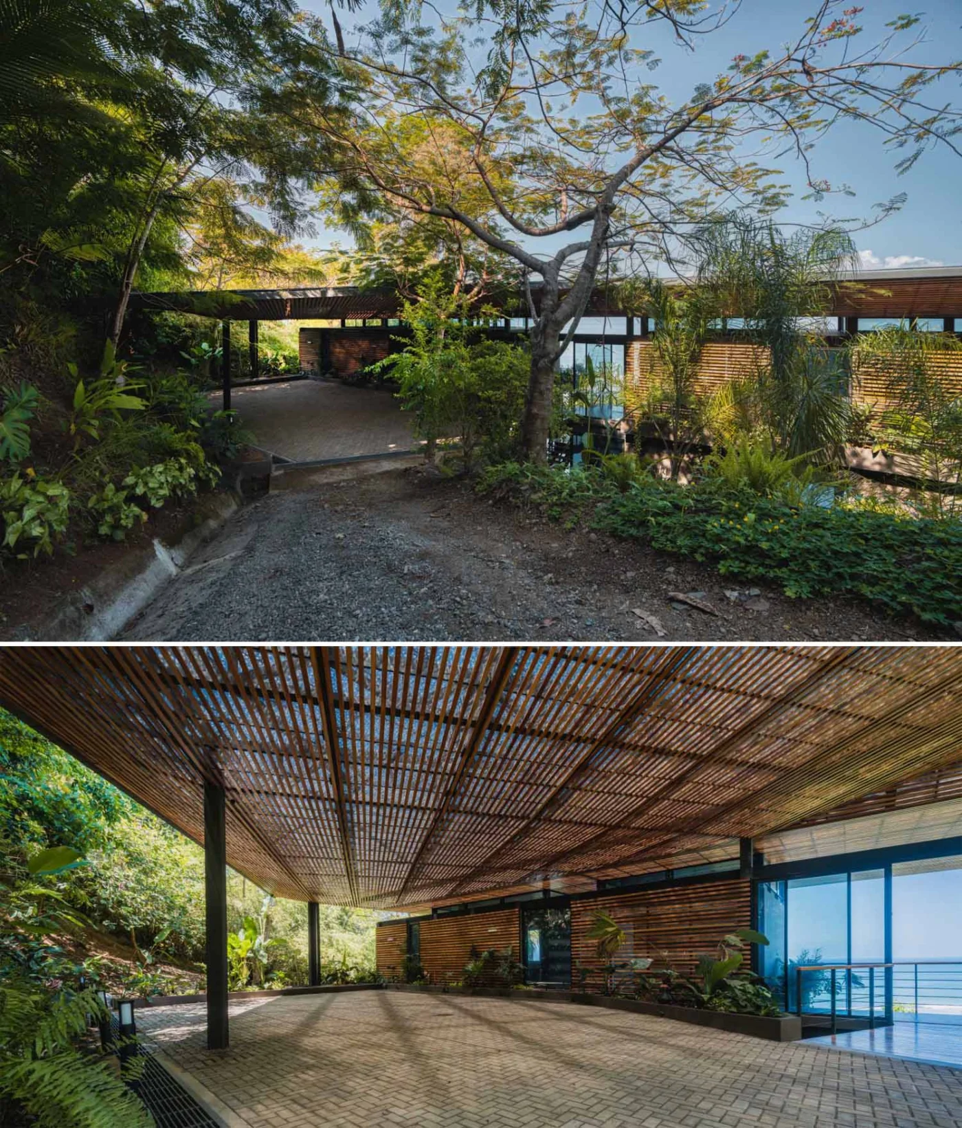 View from the driveway over the roof of the house to the ocean through the trees