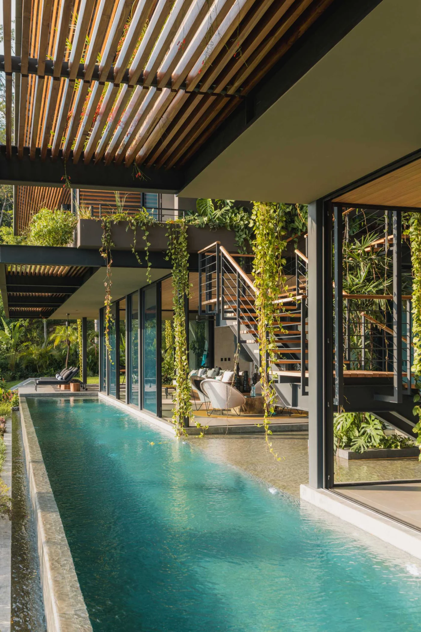24-metre infinity lap pool set over a steep slope beside the jungle