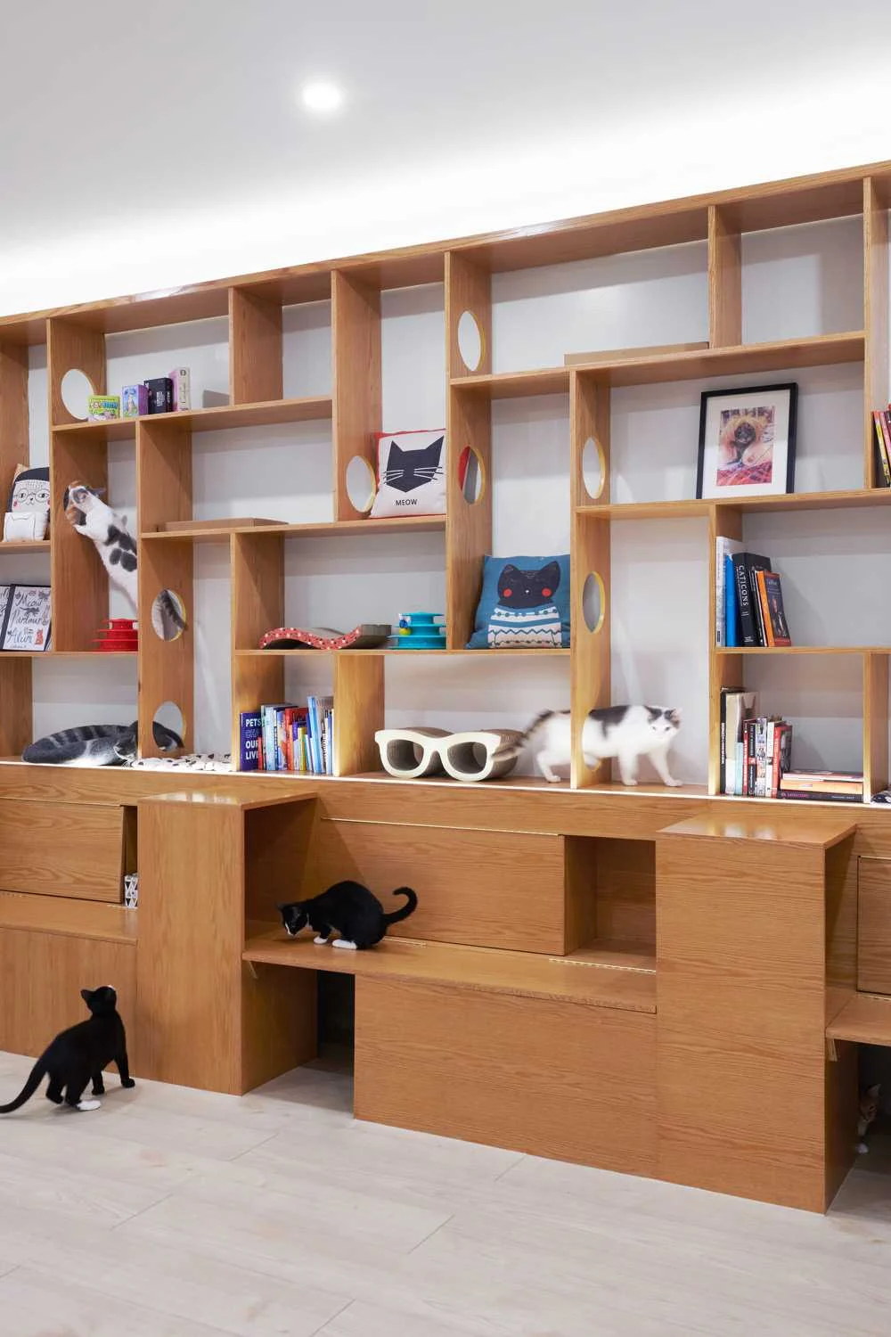Cat tree with climbing platforms and hanging beds in the middle of the cafe