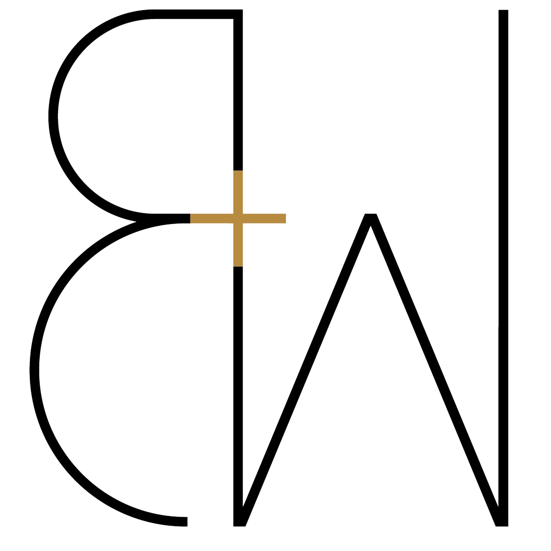 dsa-studio-logo-DSA000123-q.png