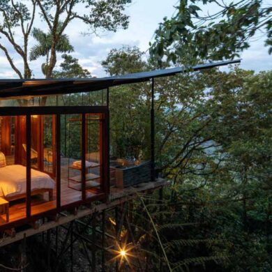 an-elevated-room-surrounded-by-trees-in-the-jungle
