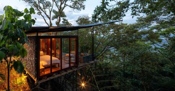 an-elevated-room-surrounded-by-trees-in-the-jungle
