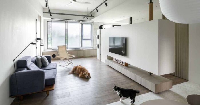 an-apartment-designed-with-cats-in-mind