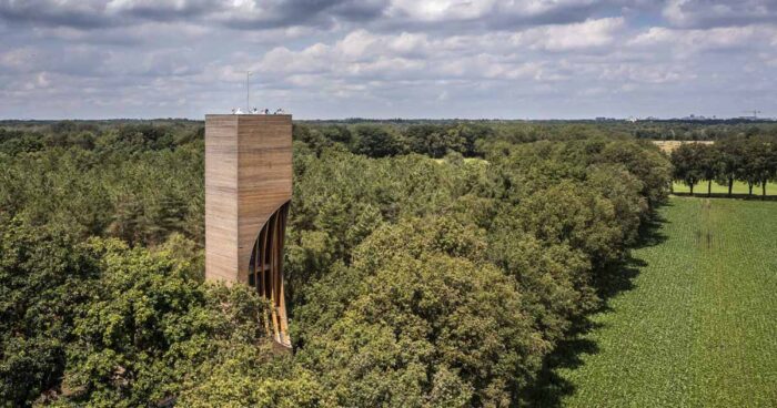 this-wood-watchtower-is-also-a-home-for-bats
