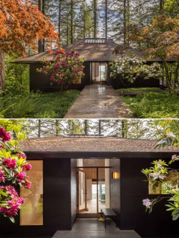 contemporary renovated house 111224 1028 011