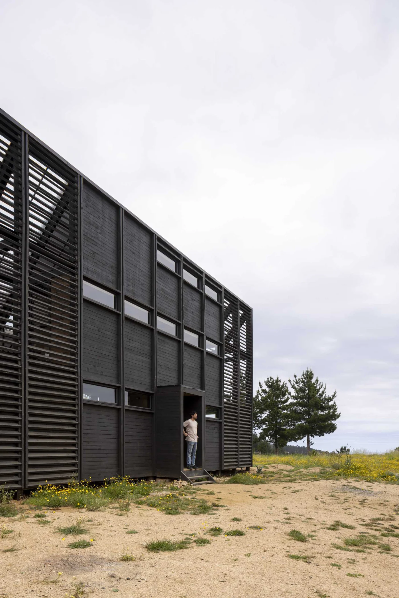 Side facade with slatted wood screens and a narrow entrance