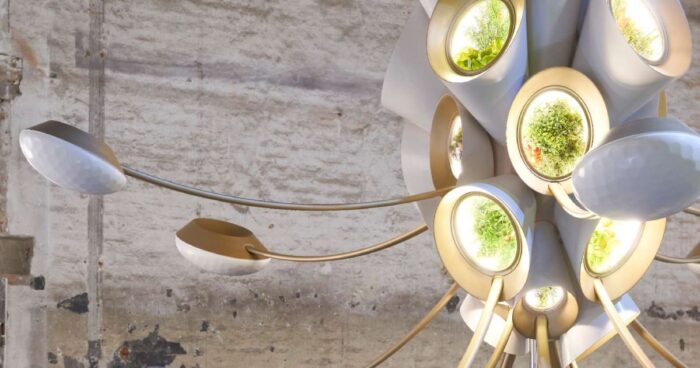 heatherwick-studio’s-futuristic-greenhouse-debuts-at-venice-biennale