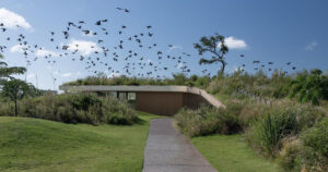 a-clubhouse-that-grows-from-the-landscape