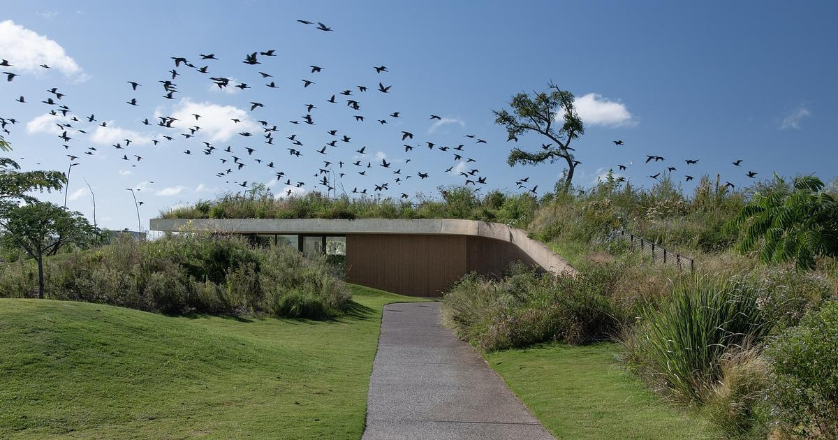 a-clubhouse-that-grows-from-the-landscape