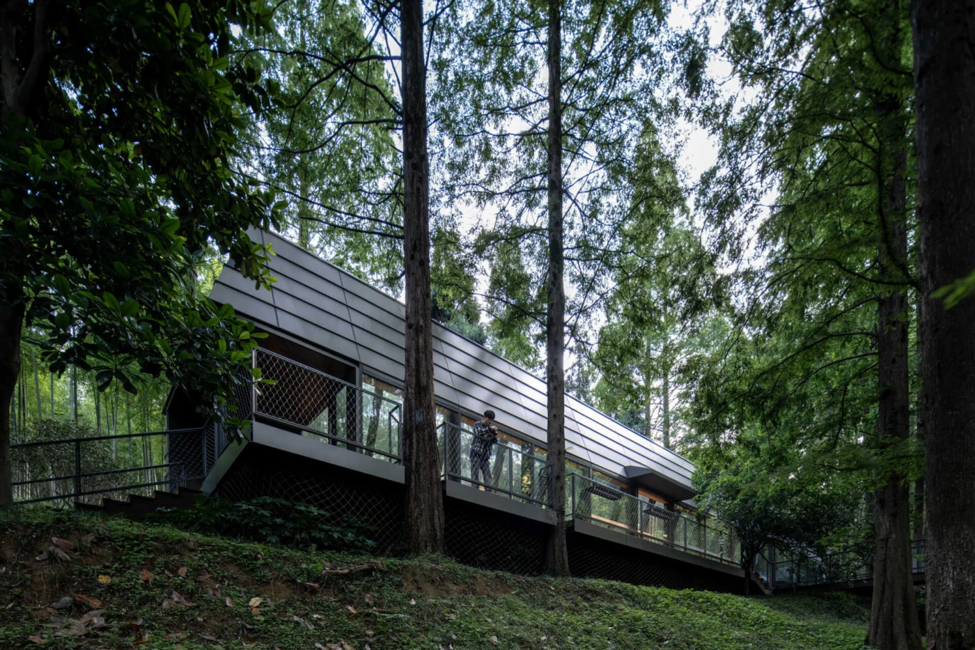 Forest hotel reception centre built on the footprint of an old wooden structure