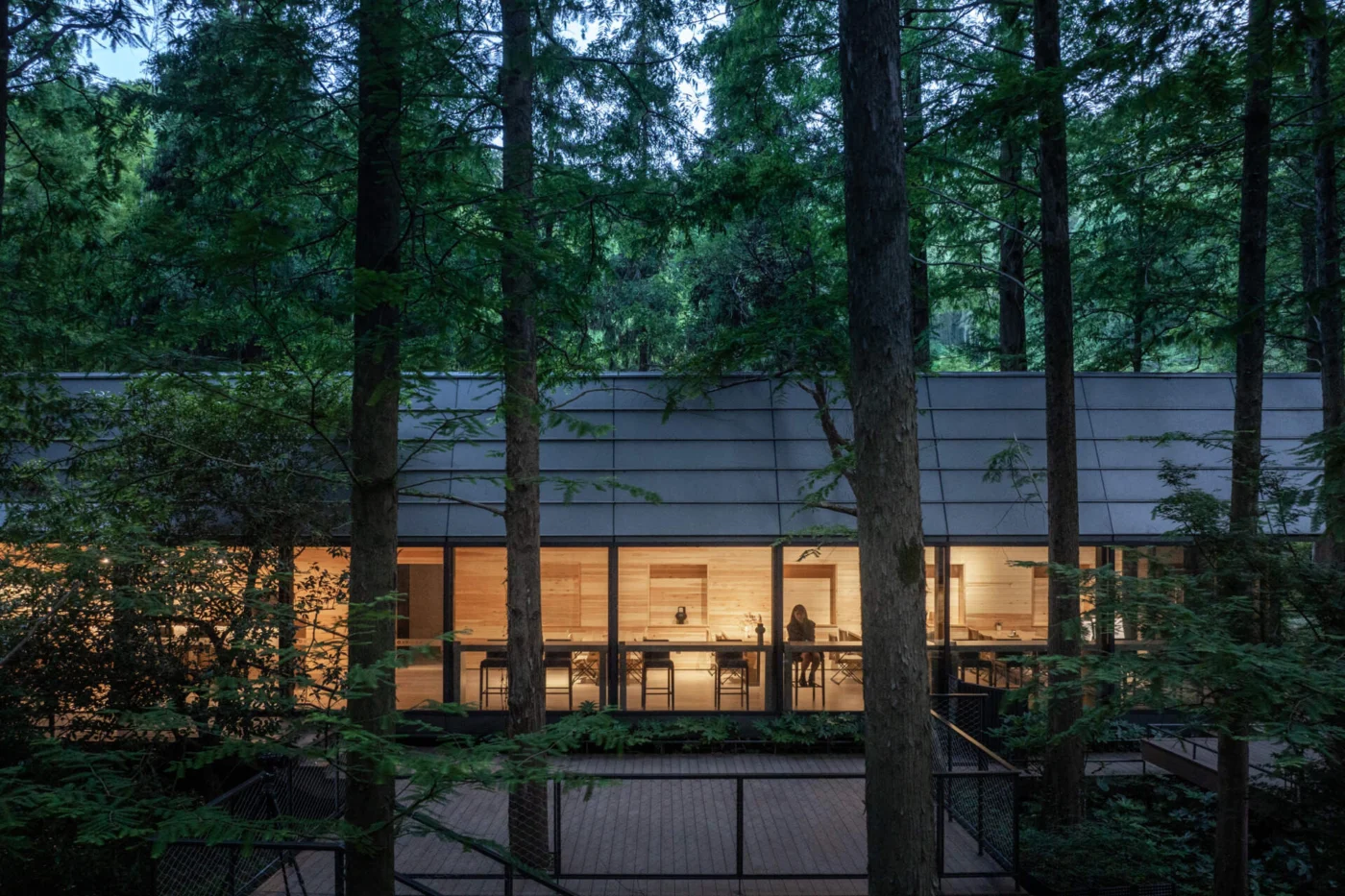 Reception interior with a wide south-facing picture window onto the forest