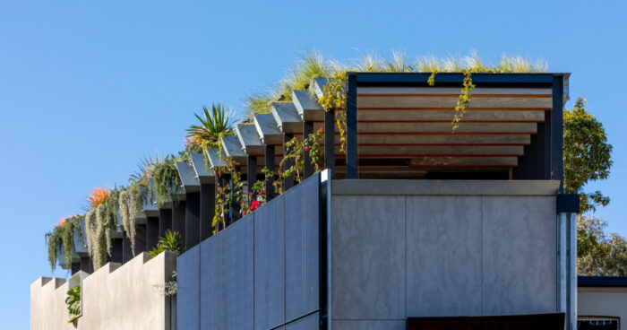 from-old-victorian-shopfront-to-sustainable-city-home-with-solar-panels-and-rooftop-garden