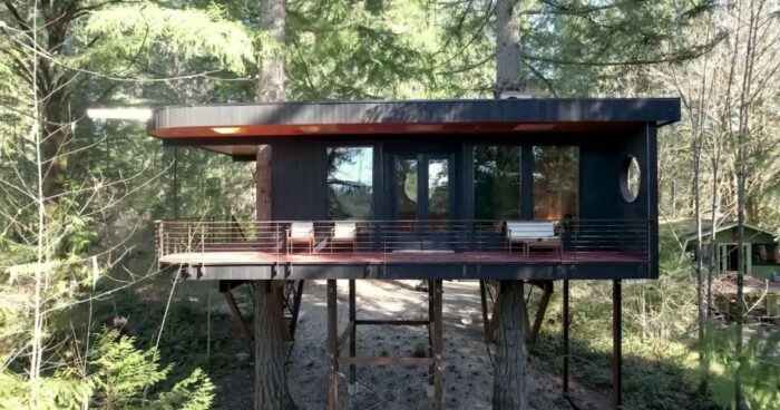 this-artist’s-treehouse-is-changing-how-we-see-tiny-homes