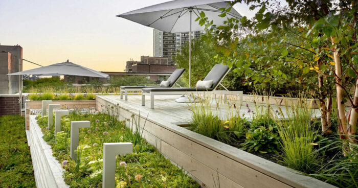 a-rooftop-garden-that-turned-a-city-view-into-a-private-oasis