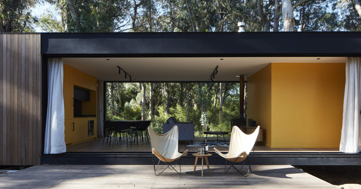 inside-a-small-forest-home-that-blends-mid-century-style-with-nature