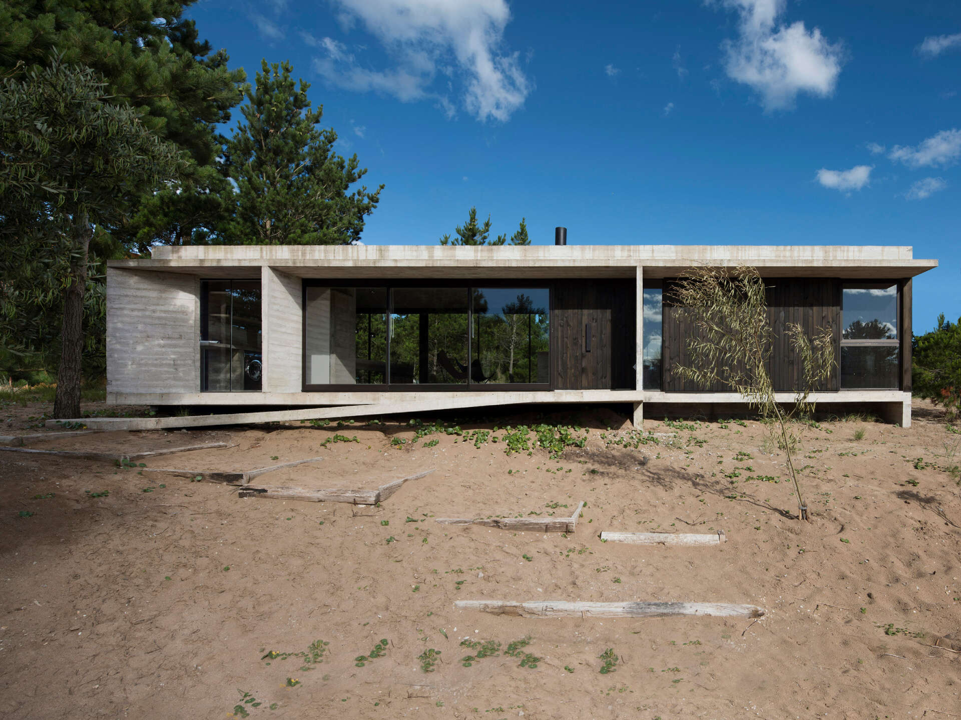 the-concrete-and-glass-home-making-the-most-of-its-forest-setting