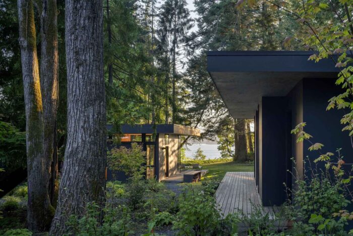 a-family’s-forest-getaway-takes-shape-as-a-series-of-modern-cabins