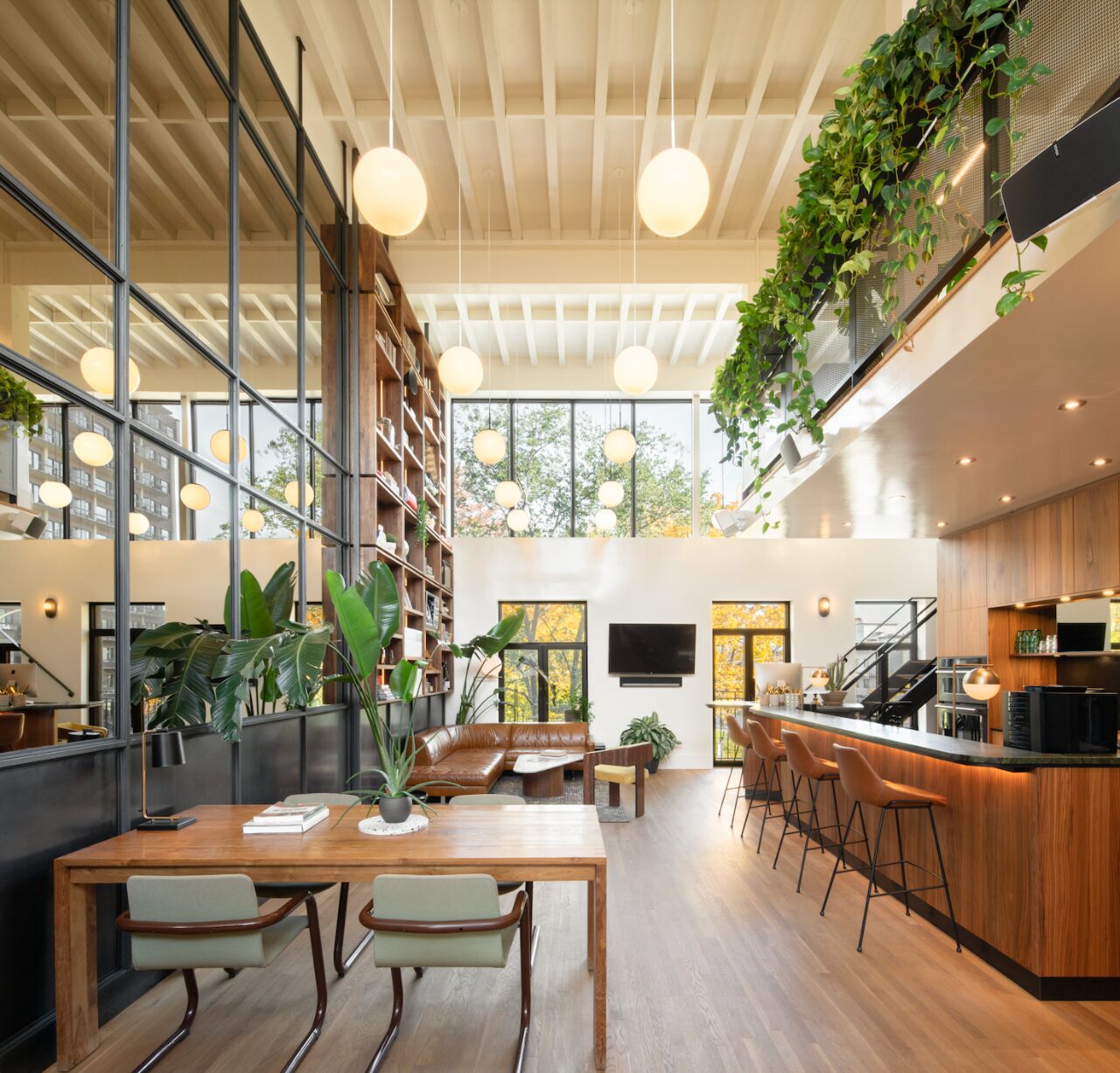 Circonflex Montreal — 8