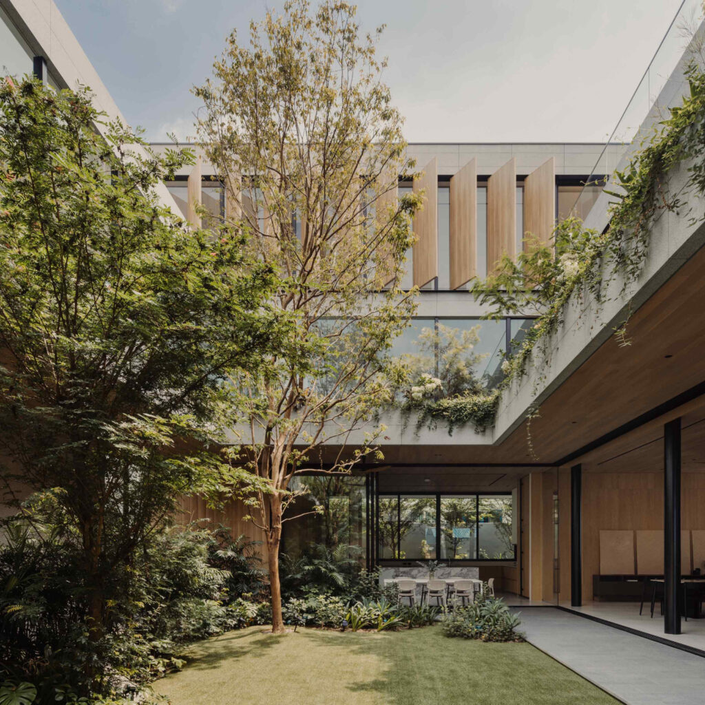 Cradle House