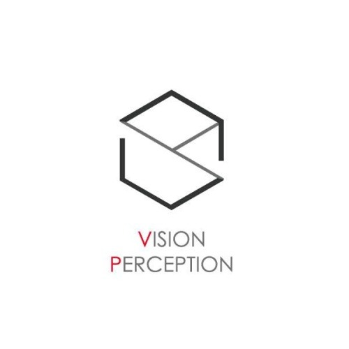 VISION PERCEPTION Creation logo